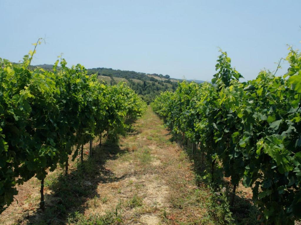 Tenuta Ponziani Wine Resort&Spa Morrano Экстерьер фото